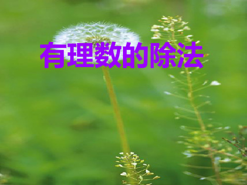 《有理数除法法则》微课(1)