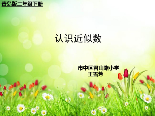 3 2 认识近似数