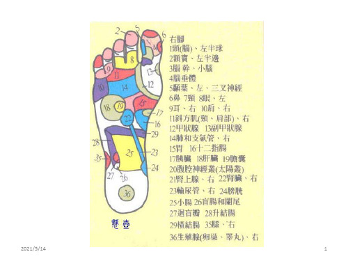 《足部按摩说明》PPT课件