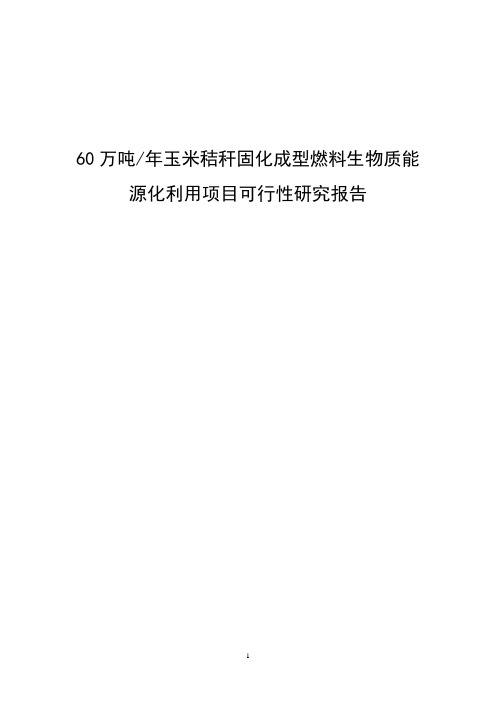 年产60万吨T玉米秸秆固化成型燃料生物质能源化利用建设项目可行性研究报告