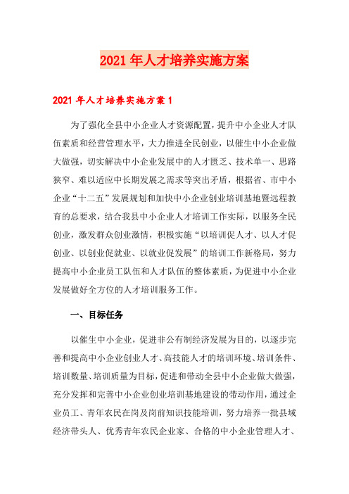 2021年人才培养实施方案