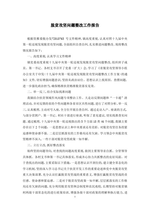 脱贫攻坚问题整改工作报告