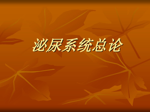 泌尿外科学系统总论