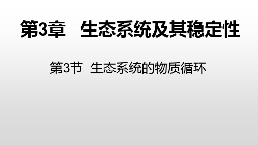生态系统的物质循环-高二生物课件(人教版2019选择性必修2)
