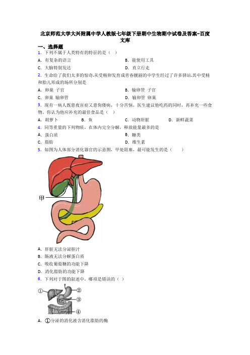 北京师范大学大兴附属中学人教版七年级下册期中生物期中试卷及答案-百度文库
