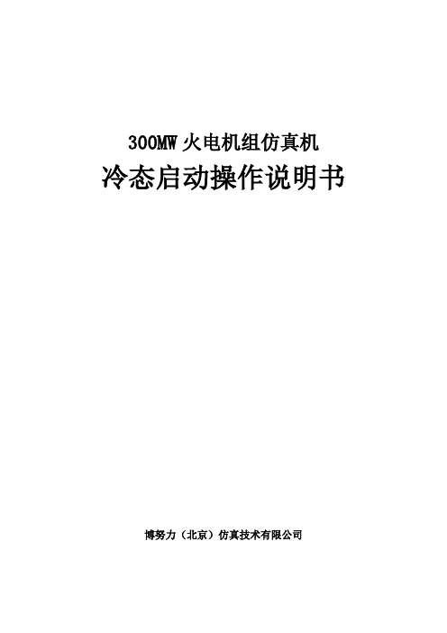 300MW仿真机组启动操作  集控运行实习