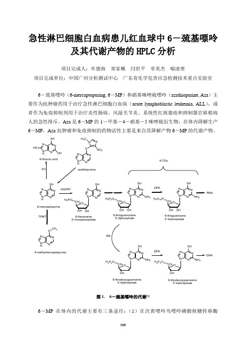 急性淋巴细胞白血病患儿红血球中6-巯基嘌呤及其代谢产物的(精)
