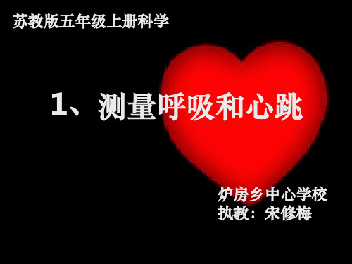 测量呼吸和心跳(两种状态)ppt课件
