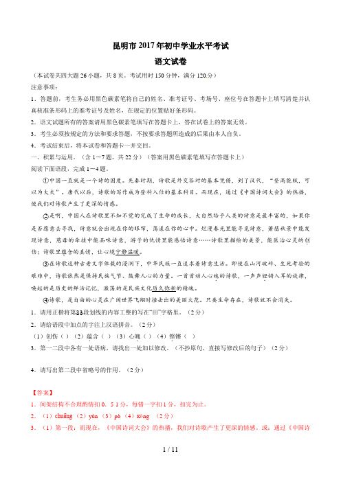 云南省昆明市中考语文试题含答案