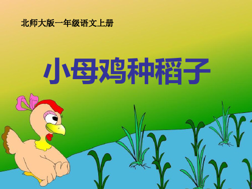 14《小母鸡种稻子》12精选教学PPT课件