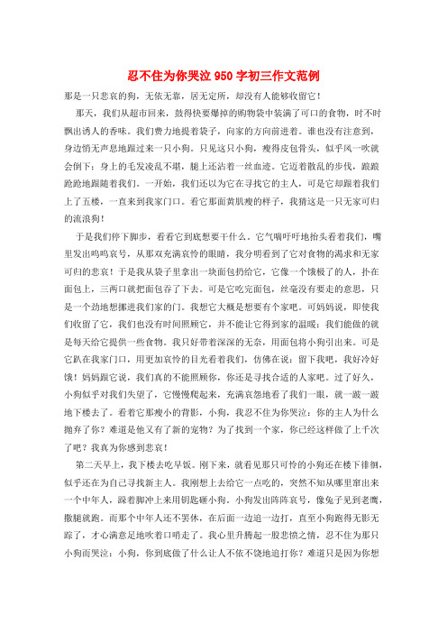 忍不住为你哭泣950字初三作文范例