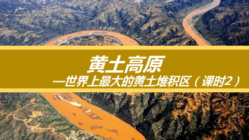 6.3世界上最大的黄土堆积区——黄土高原(课时2)八年级下册课件(人教版)