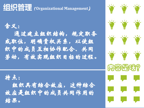 跨国公司组织结构以及宝洁公司案例(PPT 页)