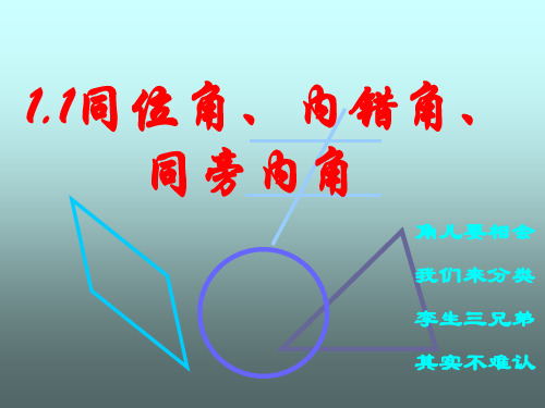 同位角、内错角、同旁内角--浙教版