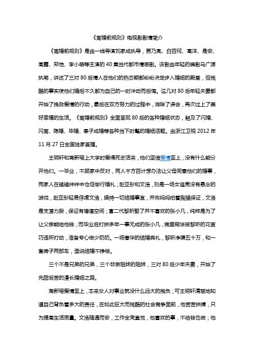 《离婚前规则》电视剧剧情简介