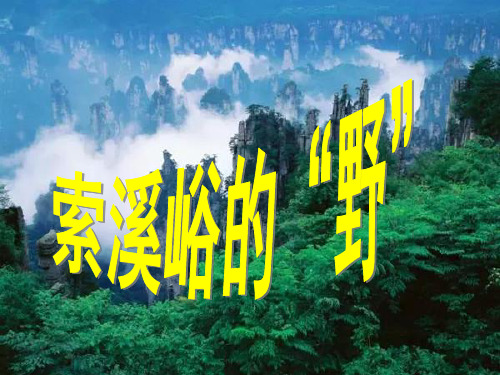 六上 4、索溪峪的野