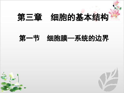 人教版高中生物必修一细胞膜—系统的边界-ppt精品课件2