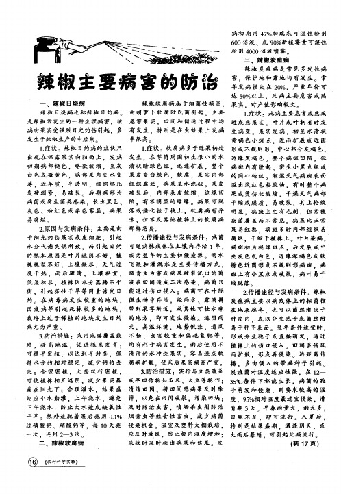 辣椒主要病害的防治