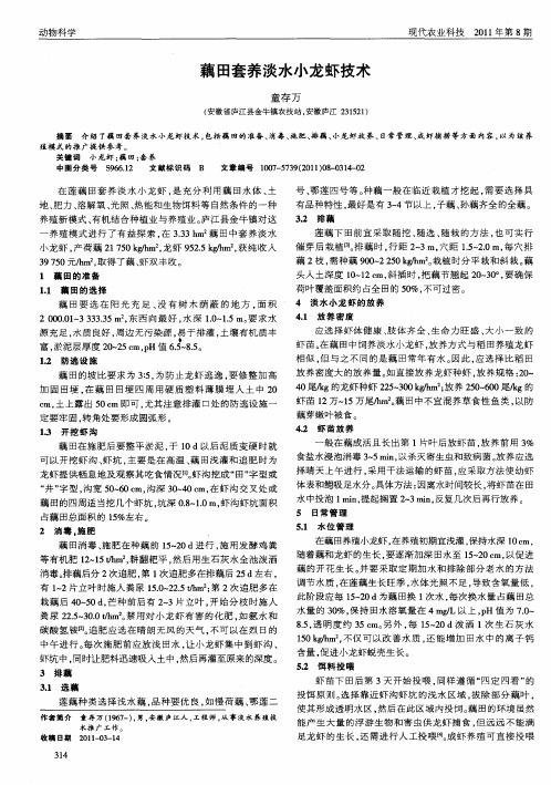 藕田套养淡水小龙虾技术