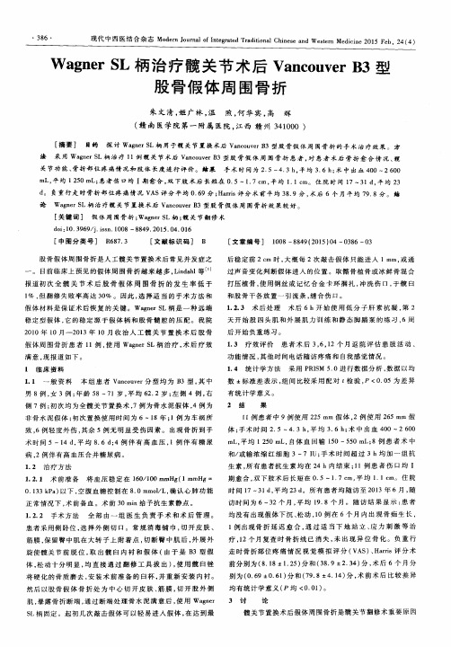 Wagner SL柄治疗髋关节术后Vancouver B3型股骨假体周围骨折