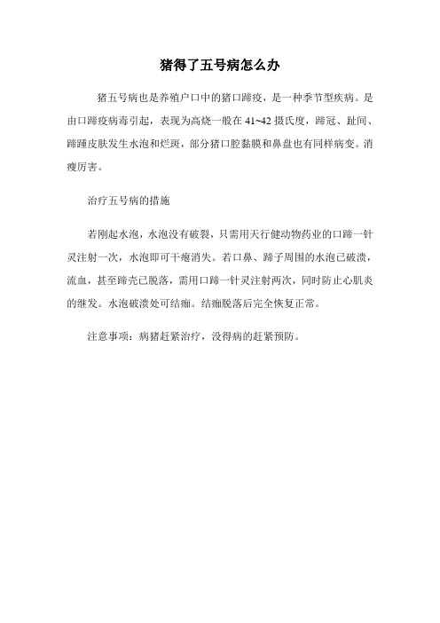 猪得了五号病怎么办