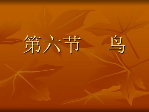 第六节     鸟