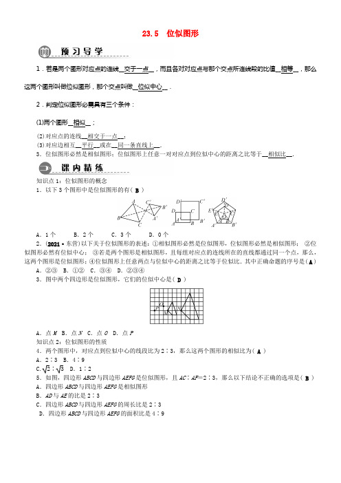九年级数学上册23_5位似图形练习新版华东师大版