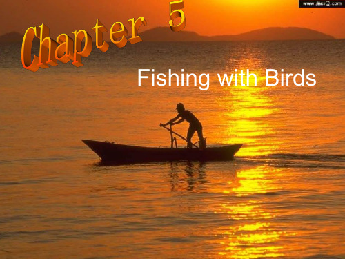 九年级英语Fishing-with-birds课件