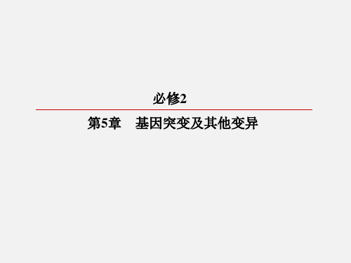 高考生物 一轮复习 基因突变及其他变异 第1节 基因突变和基因重组 新人教必修2