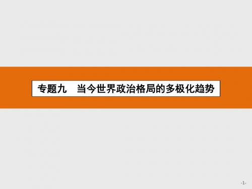 浙江省2018年高考历史总复习名师课件：专题九 当今世界政治格局的多极化趋势(共12张PPT)
