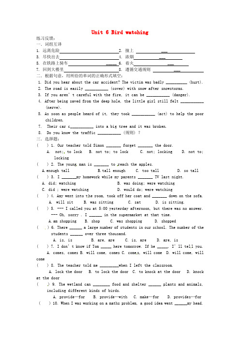 牛津译林版八年级上册Unit 6《Bird watching》(Welcome to the Unit)随堂练习