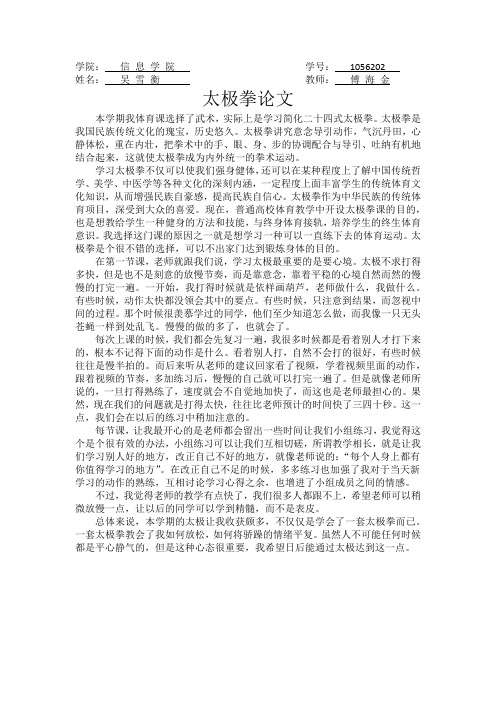 太极拳论文