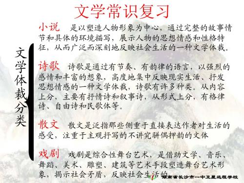 中国古代诗歌发展概述(非常精美)