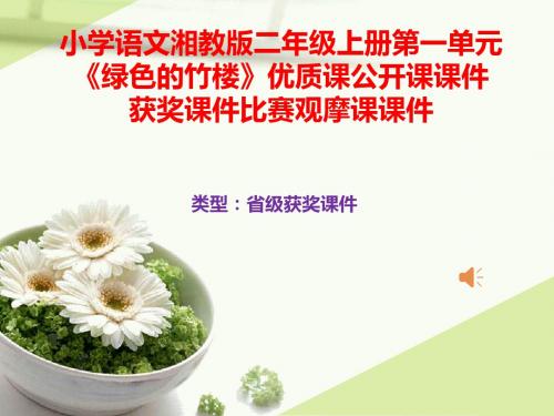 小学语文湘教版二年级上册第一单元《绿色的竹楼》优质课公开课课件获奖课件比赛观摩课课件B013