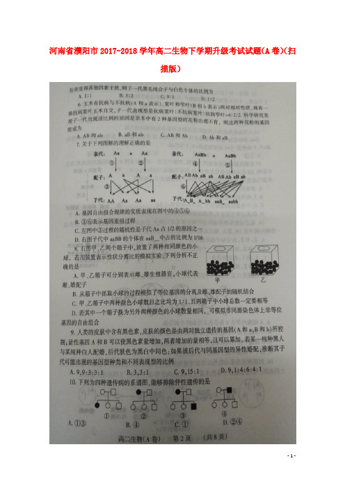 河南省濮阳市高二生物下学期升级考试试题(A卷)(扫描版