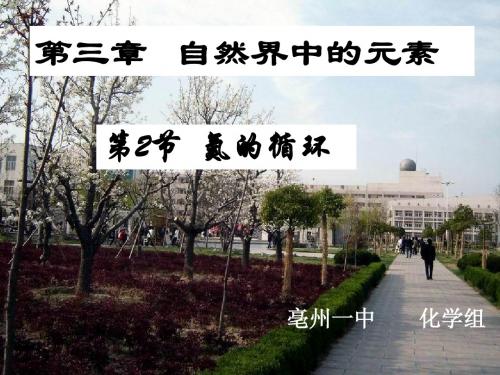 氮的循环