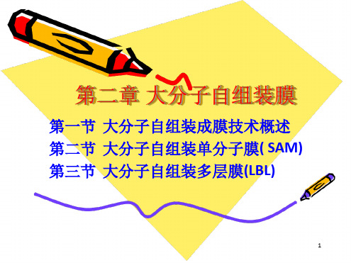 第二章大分子自组装膜
