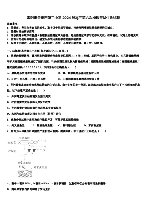 贵阳市贵阳市第二中学2024届高三第六次模拟考试生物试卷含解析