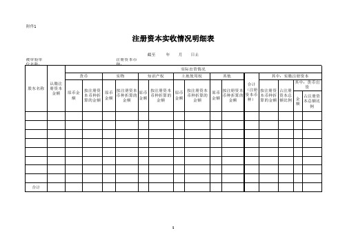 公司注册资本实收情况明细表(xls 页)