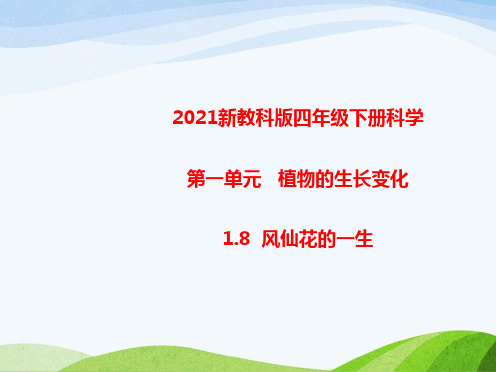 2021年春新教科版四年级下册科学1.8风仙花的一生 教学课件