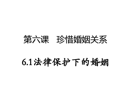 高中政治人教统编版选择性必修2教学课件：6.1法律保护下的婚姻(36页)