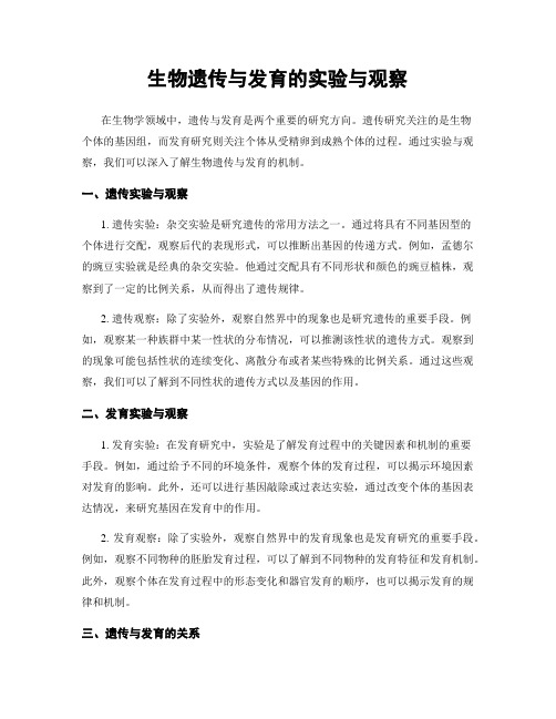 生物遗传与发育的实验与观察