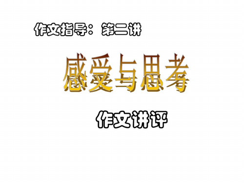 “感受与思考”作文讲评1002