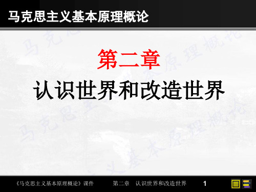 马克思主义基本原理-第二章认识世界和改造世界