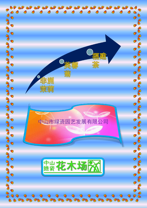 非洲茉莉,芙蓉菊,福建茶之苗木,花木,广东花木场之小解