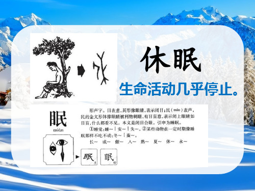 三年级上册语文课件-38 动物的休眠丨沪教版(2015秋)(共26张PPT)