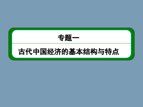2014高考人民版历史总复习课件：第2部分 专题1  第2讲  古代中国的商业经济和经济政策