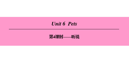 Unit 6 第4课时听说