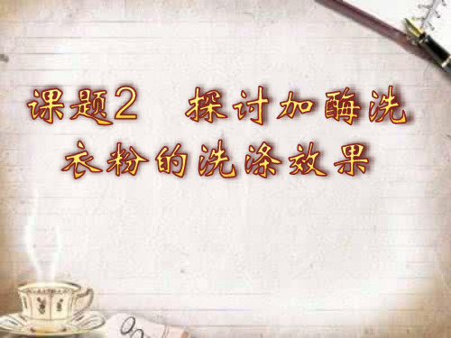 人教版高中生物选修1专题四探讨加酶洗衣粉的洗涤效果(课件 共10张PPT)