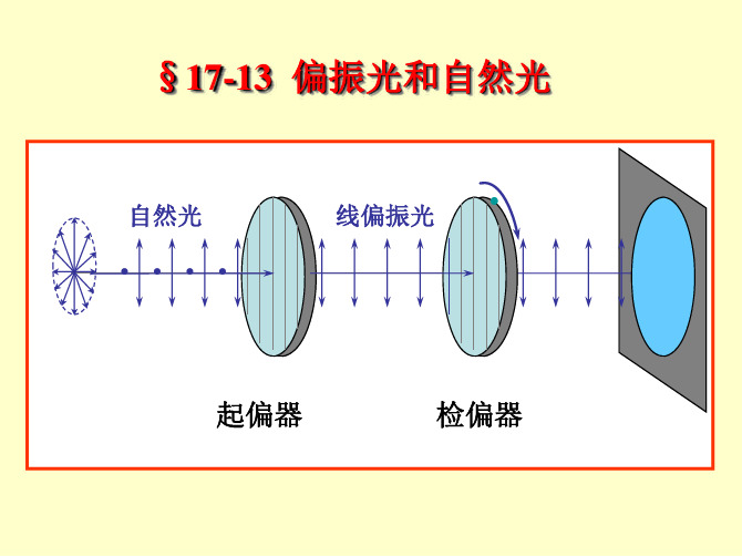 大学物理：17-13  偏振光和自然光